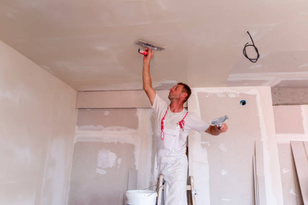 Best Eco-Friendly and Low-VOC Painting  in Luling, LA