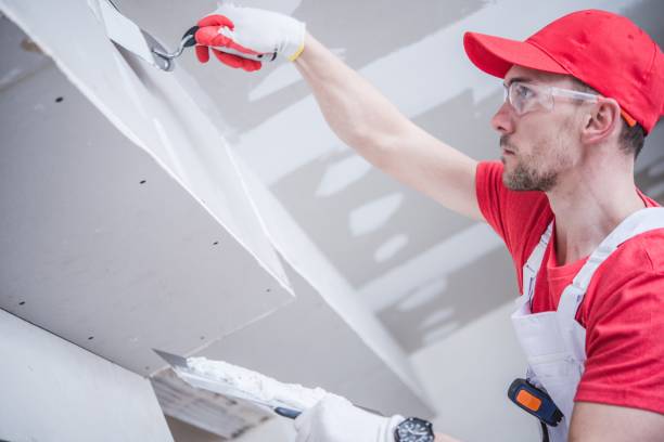 Best Ceiling Drywall Installation  in Luling, LA